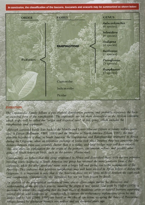 Toucans of the Americas - Tucanos - Tucanos das Americas  - Alvarenga,H. &  Brettas,E.  2004